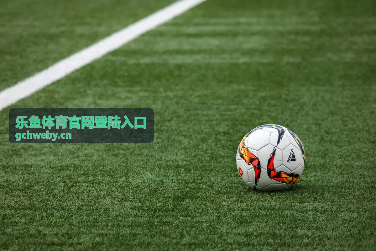 乐鱼体育官网登陆入口的通道核对与登录步骤示意