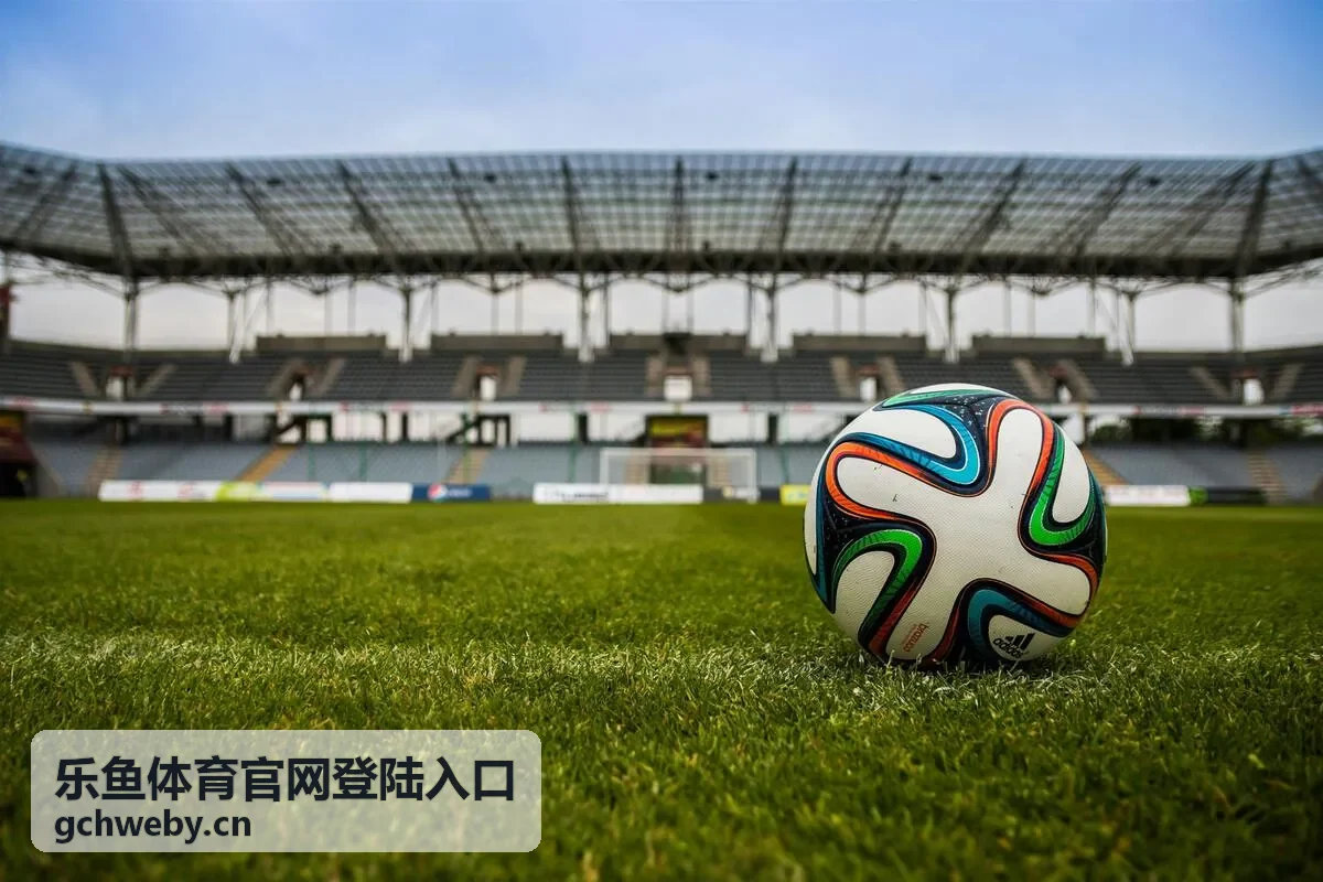 乐鱼体育官网登陆入口账号安全自查场景